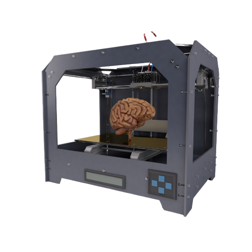 Printing a brain